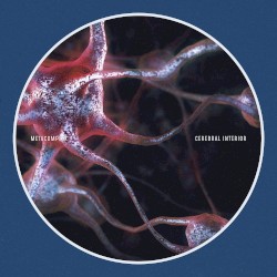 Cerebral Interior