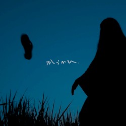 からかひ