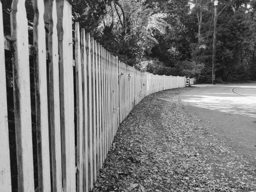White Picket Fence
