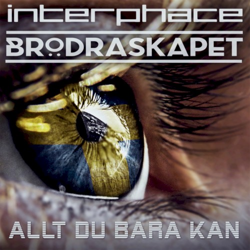 Allt Du Bara Kan