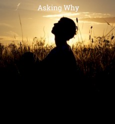 Asking Why