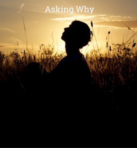 Asking Why