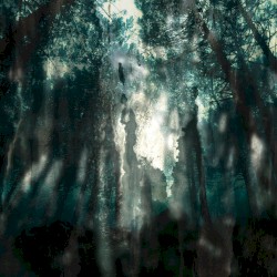 Numinous Tapes I
