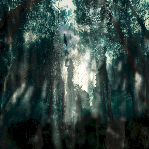 Numinous Tapes I
