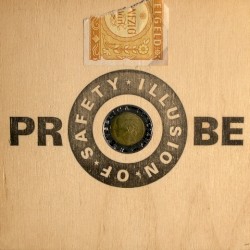 Probe