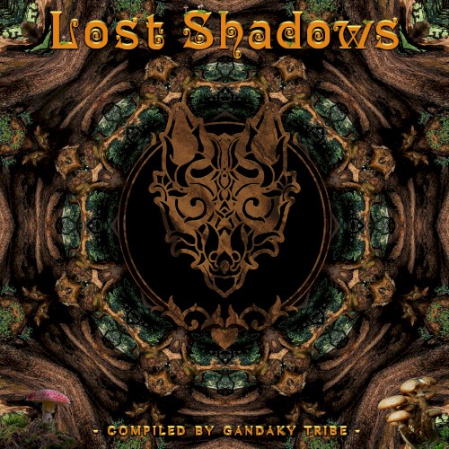 Lost Shadows