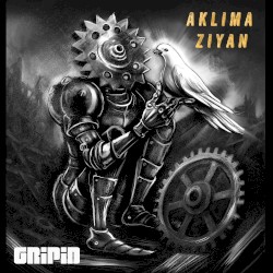 Aklıma Ziyan