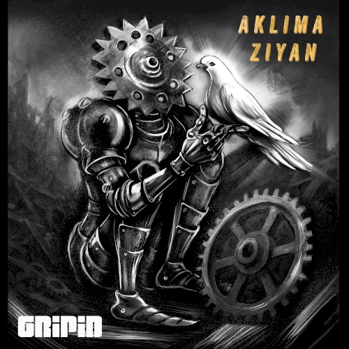 Aklıma Ziyan