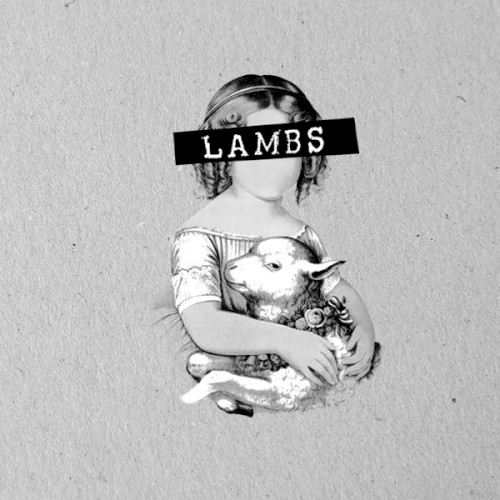 Lambs