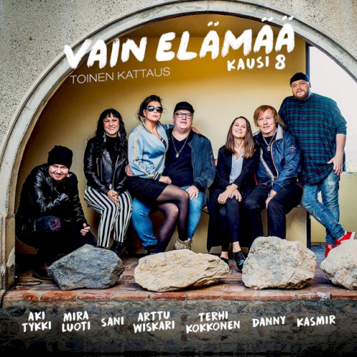 Vain elämää: Kausi 8, toinen kattaus