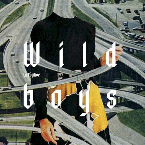 Wild Boys