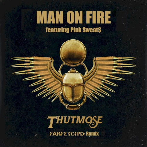 Man on Fire (farfetch'd remix)