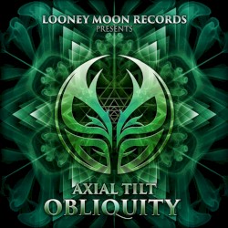 Obliquity
