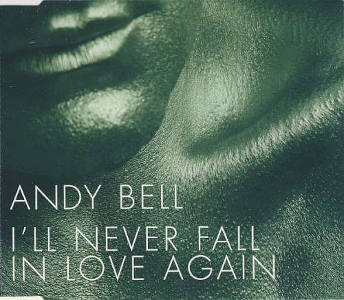 I'll Never Fall in Love Again