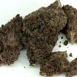 Sunset Sherbert