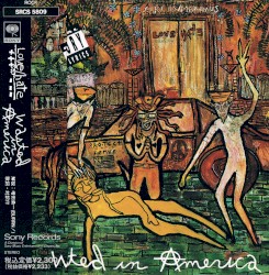 Wasted in America