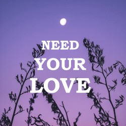 Need Your Love