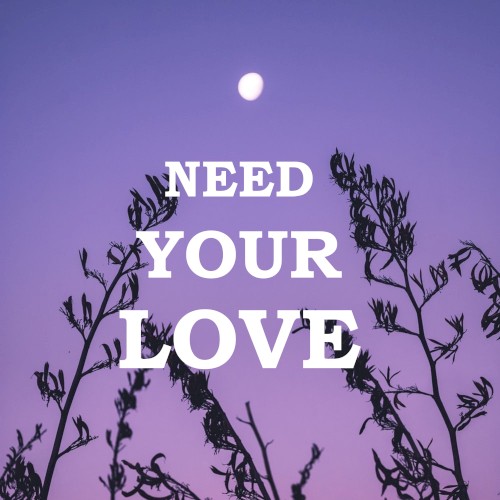 Need Your Love