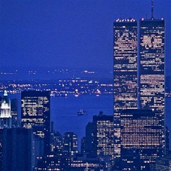 Majestic Night
