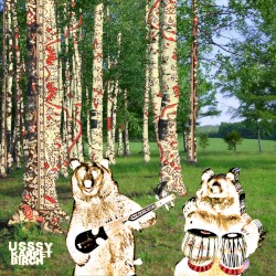 Karpet Birch