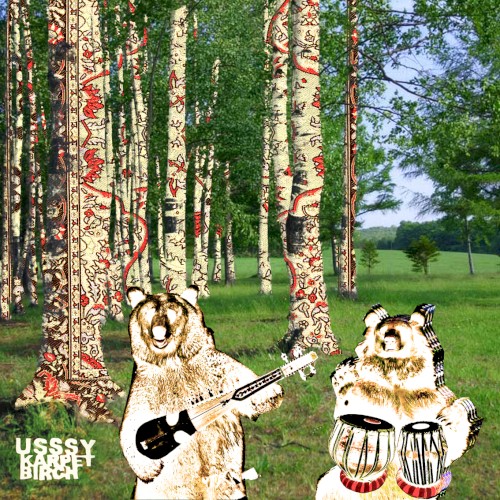 Karpet Birch
