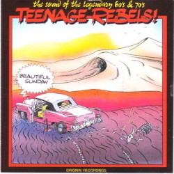 Teenage Rebels! - Beautiful Sunday