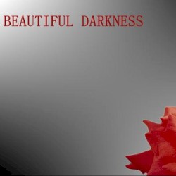 Beautiful Darkness