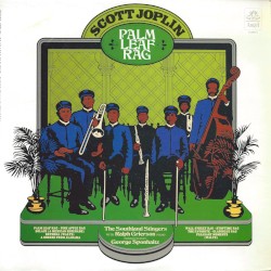 Palm Leaf Rag