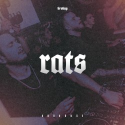 Rats