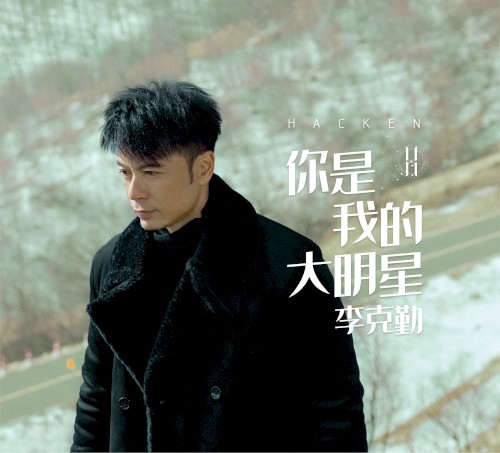 你是我的大明星