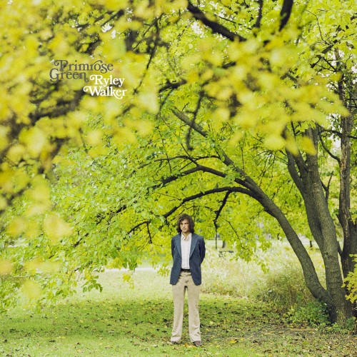 Primrose Green