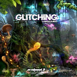 Glitching
