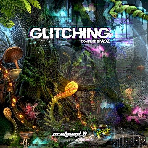 Glitching