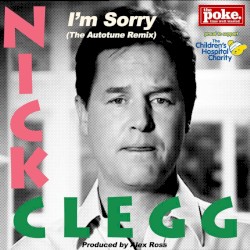 I’m Sorry (The Autotune remix)