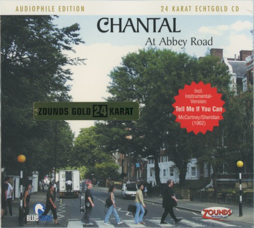 At Abbey Road - Beatles Strictly Instrumental