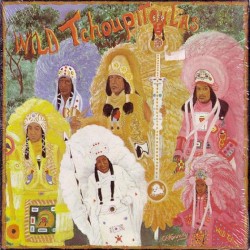 Wild Tchoupitoulas