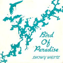 Bird of Paradise