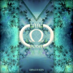 The Omega Point