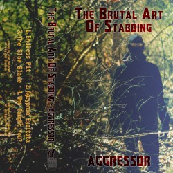 Aggressor/Vital Points