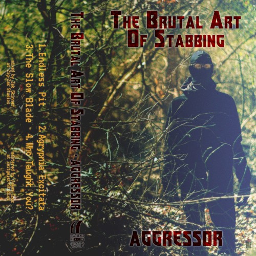 Aggressor/Vital Points