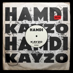 Skanka (Kayzo Remix)