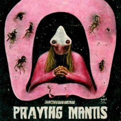 Praying Mantis