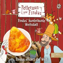 Findus erklärt die Welt: Findus kunterbunte Werkstatt