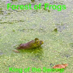 King of the Swamp