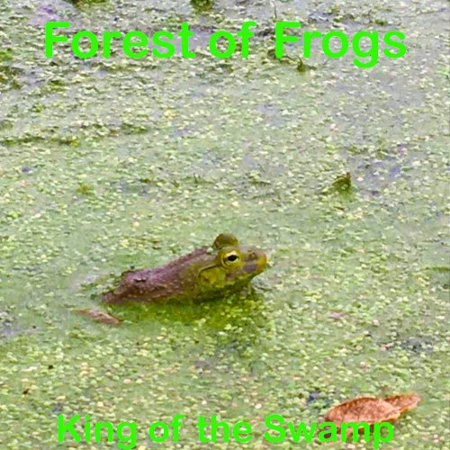King of the Swamp