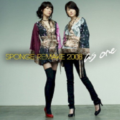 Sponge Remake 2008