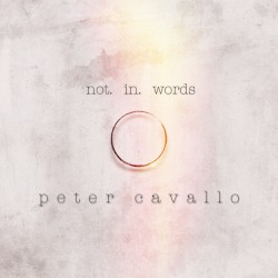 Not in Words