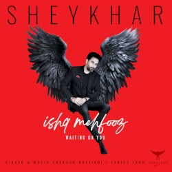 Ishq Mehfooz (Waiting On You)