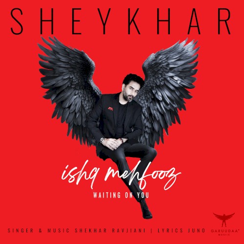 Ishq Mehfooz (Waiting On You)