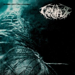 Roses & Rotting Corpses